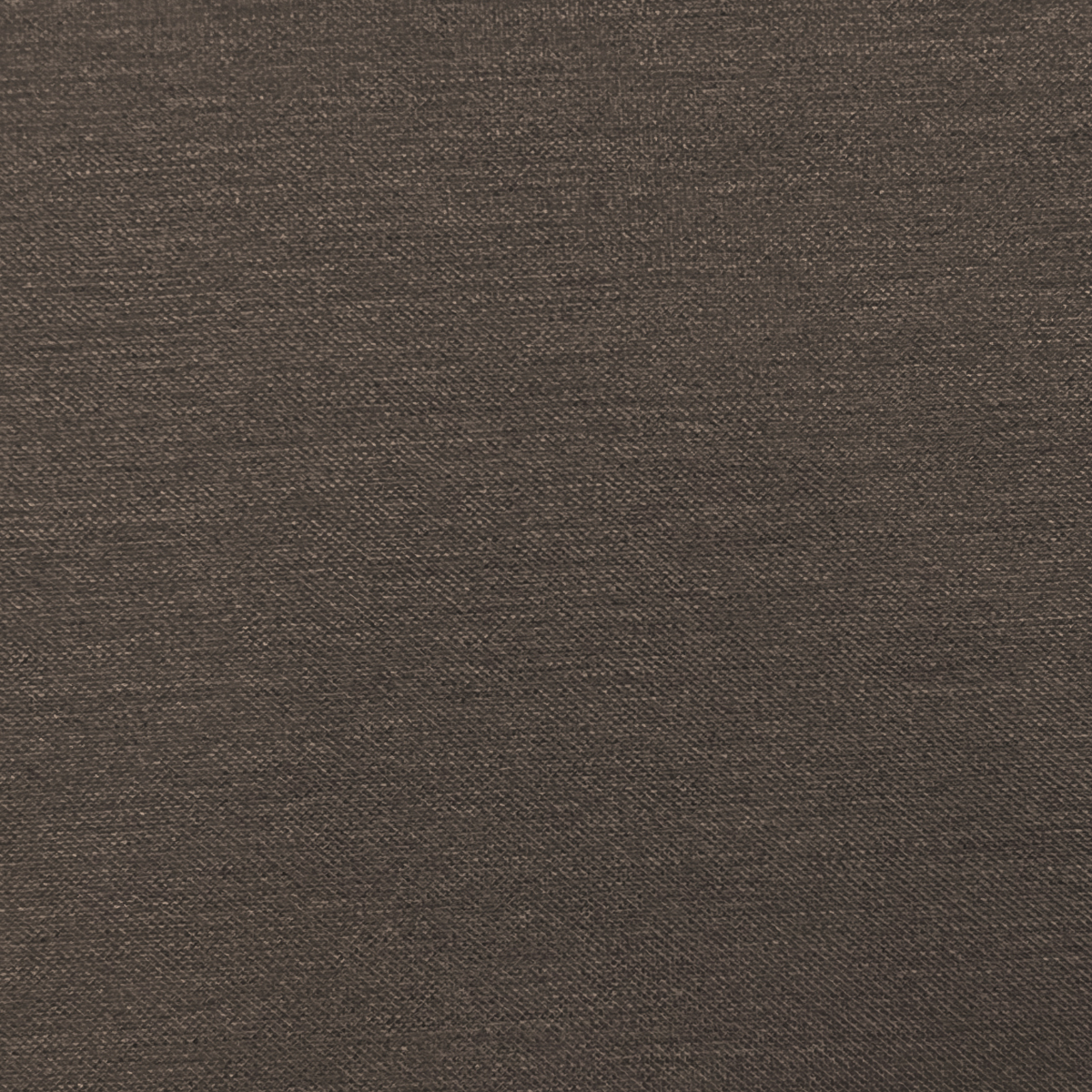 NEW DRESS T SHIRT S/S (半袖) BROWN